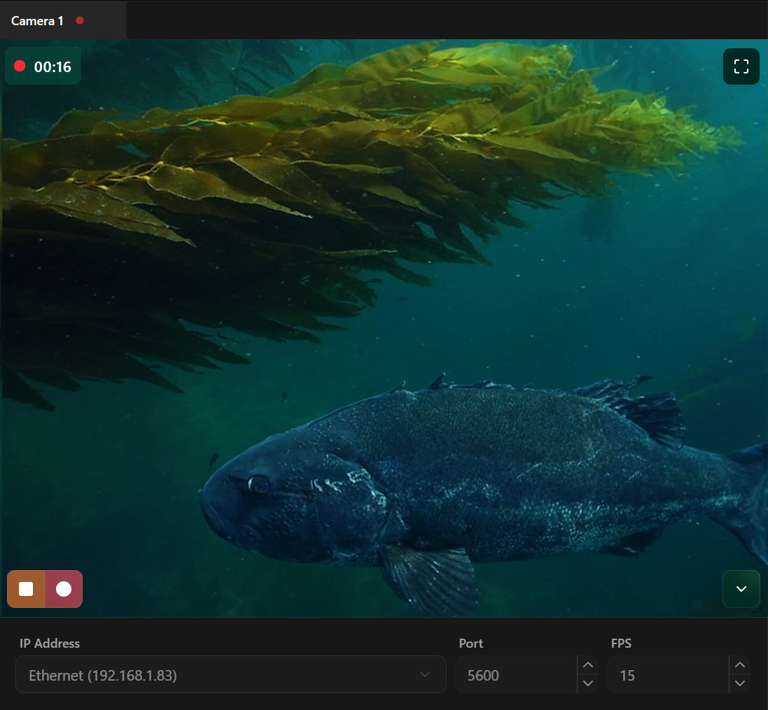 Discovery for Desktop